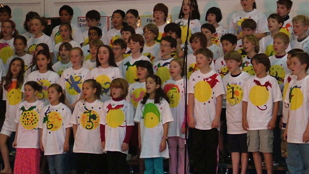 The Dragons Are Singing Tonight, Project Description